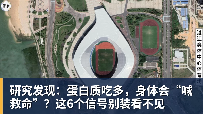 3万人狂欢!欧洲115年老店掀翻荷甲第1豪门:一场等了15年的1 - 篮球下注平台 - 篮球比赛下注平台